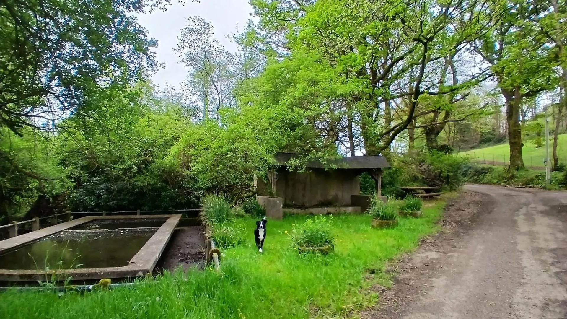 Chambre Paisible Avec Jardin A La Campagne En Finistere Sud Scaër Franciaország